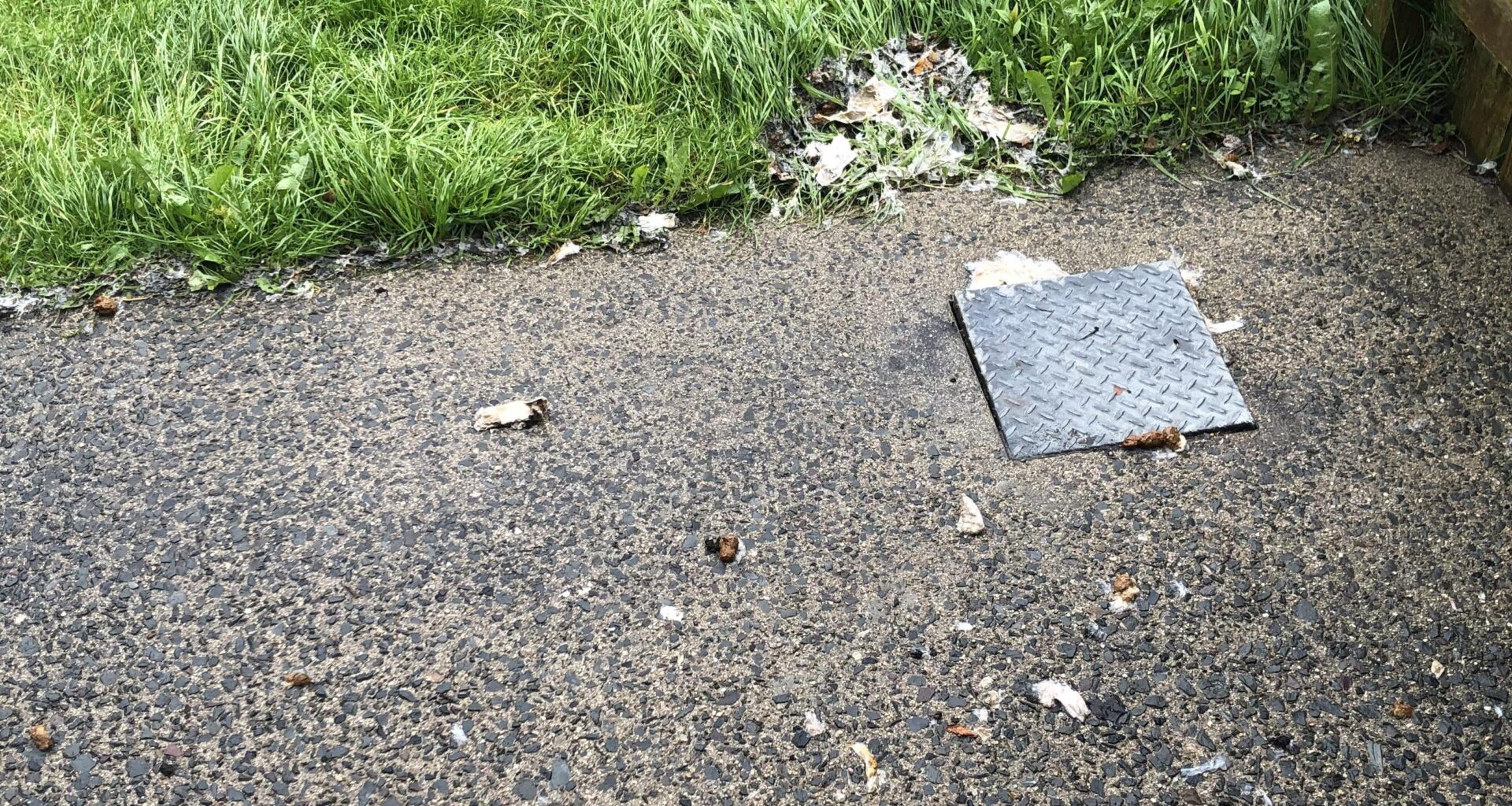 Back garden sewage connection
