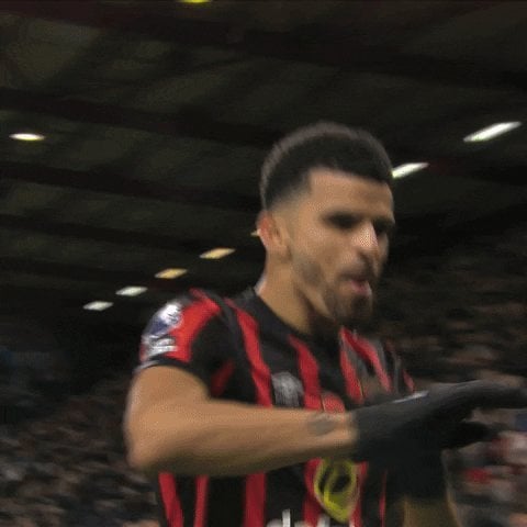 Chelsea’s forward shortlist include former academy graduate Dominic Solanke, who is reported to have a £65million release clause in his Bournemouth contract.