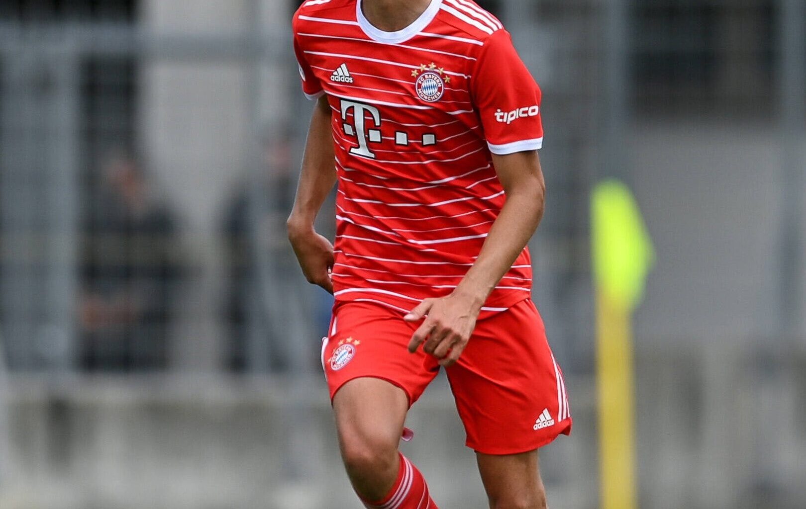 Fc Bayern youth player Justin Janitzek moves permanently to SV Wehen Wiesbaden