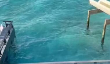 [@partidazocope] Video of Sergio Arribas saving a couple from drowning on the Maldives
