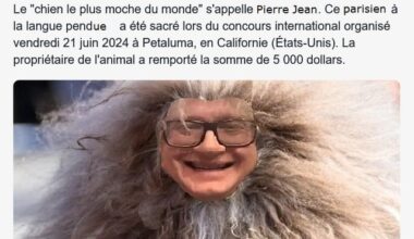 Y a quelqu'un qui m'a dit qu'il y avaient trop de memes politiques en ce moment, alors j'ai creusé l'actu... 2 infos en 1