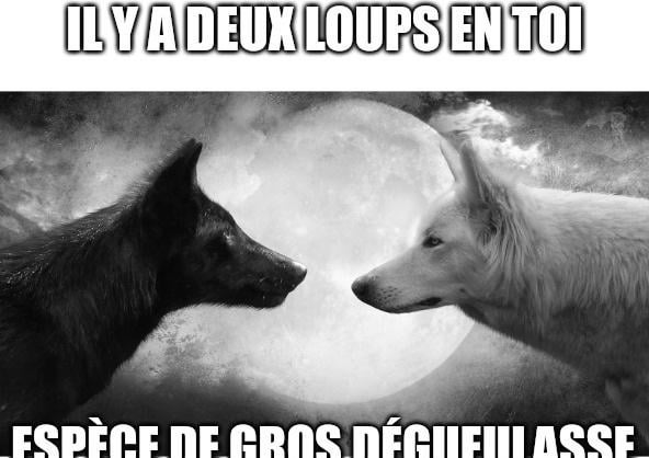 Plus il y en a, mieux c'est