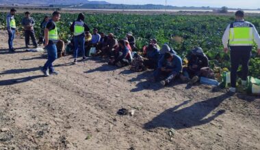 Más de cuarenta detenidos por explotación laboral en fincas agrícolas de Alhama y La Hoya