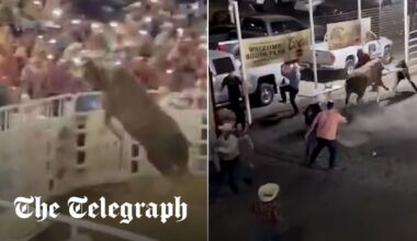 Moment rampaging bull jumps rodeo fence injuring spectators
