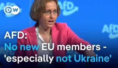 Behind German far-right party AfD's 'no to Ukraine' in the EU
