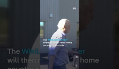 Assange boards plane to leave UK after reaching deal with US Justice Department | DW Shorts