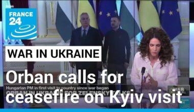 Europe's 'odd man out' Orban calls for Ukraine ceasefire • FRANCE 24 English