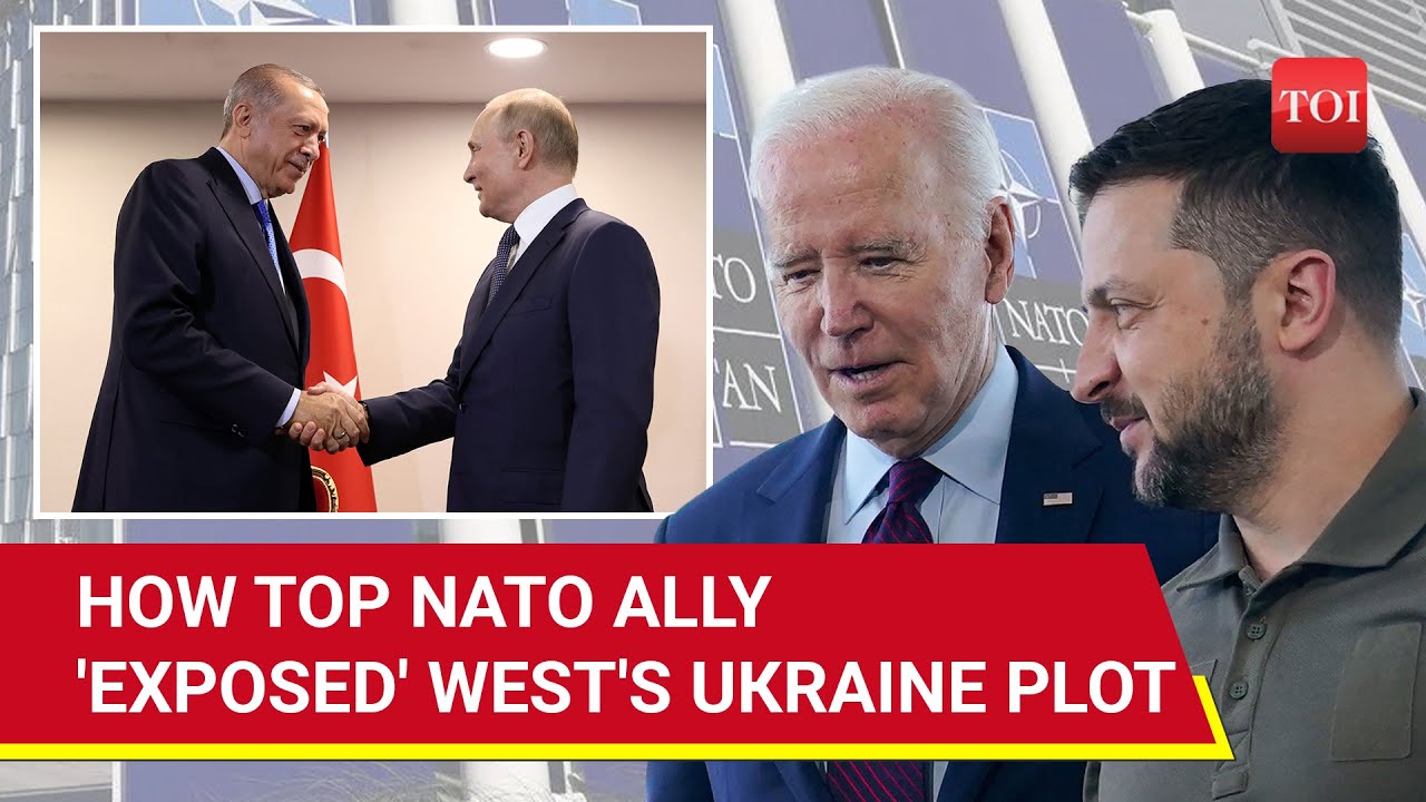 'World War III...': Top NATO Leader's Shocker After Meeting Putin On Ukraine War | Watch