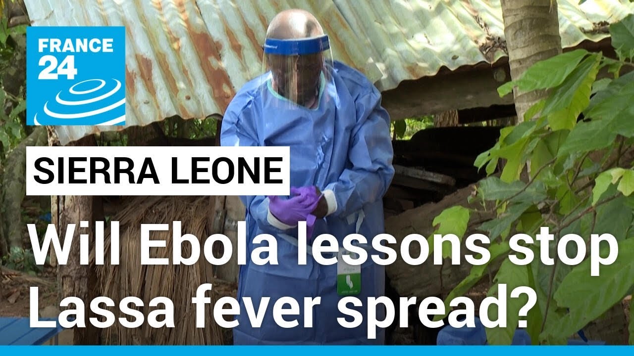 Lassa fever: The deadly disease spreading in Sierra Leone ten years after Ebola • FRANCE 24