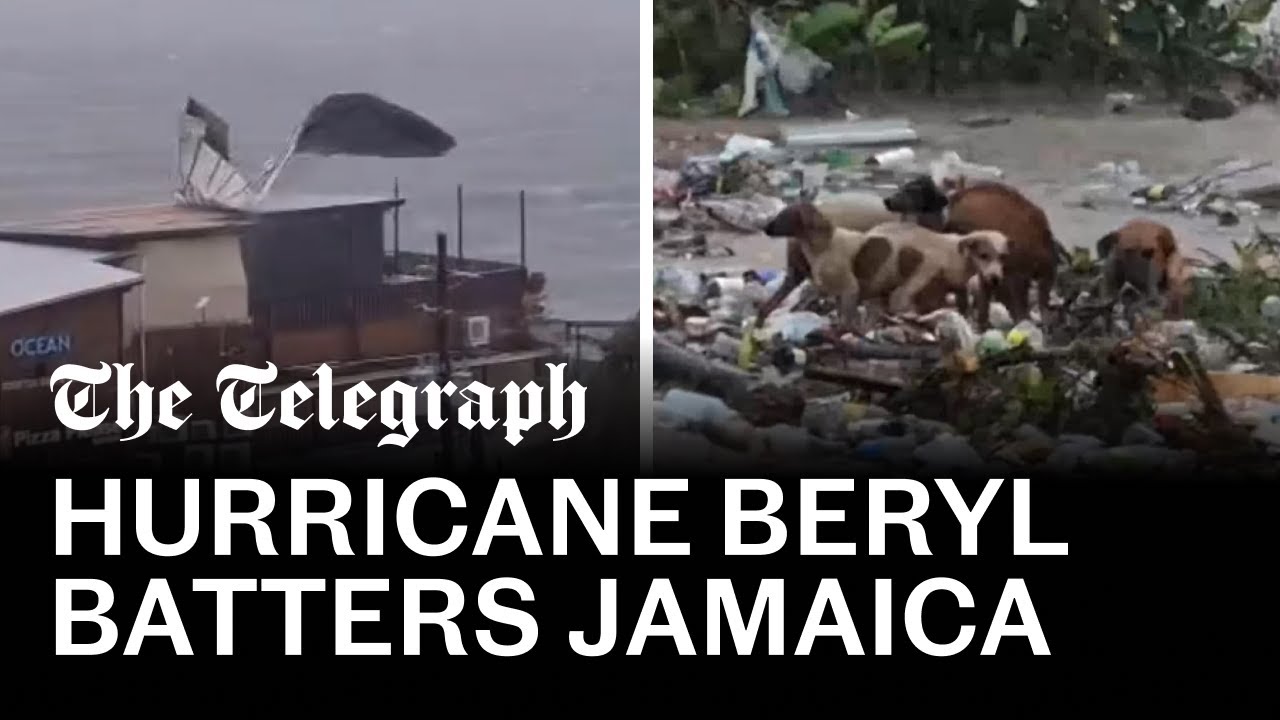 Dogs drift on debris in Jamaica floodwaters as hurricane Beryl batters the island