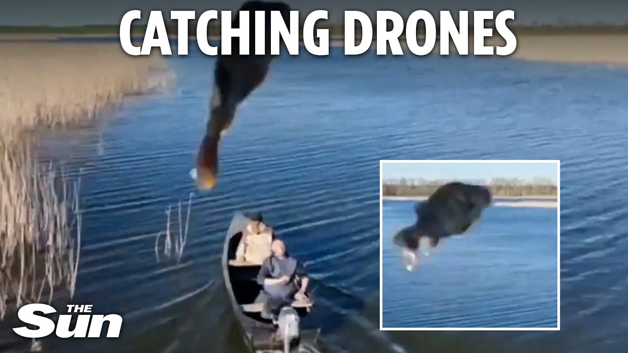Bizarre moment Ukrainians hurl FISH at Russian drone in defiant act against Putin