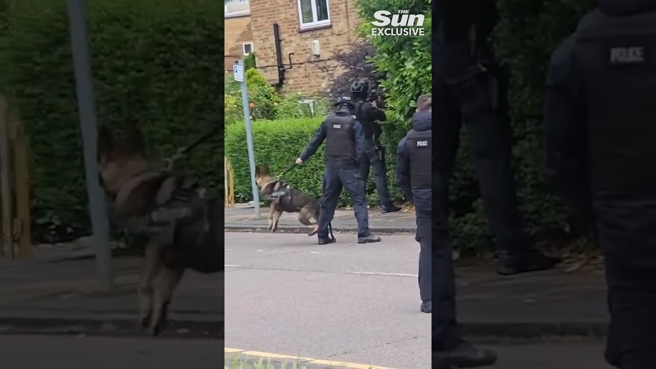 Police storm home in search for ‘crossbow killer’ Kyle Clifford as suspect’s car is found