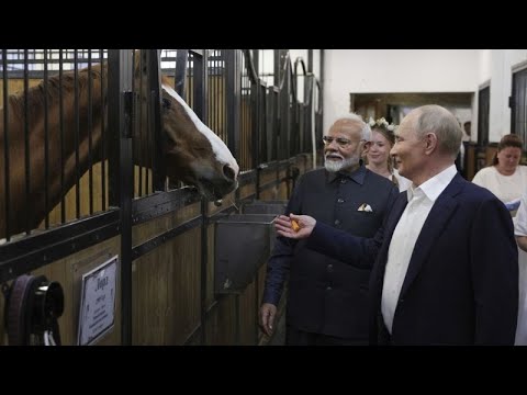 No comment : le Premier ministre indien Narendra Modi en visite à Moscou | euronews 🇫🇷