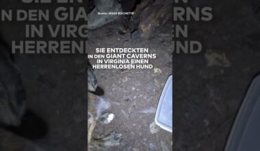 USA: Überraschung in Höhle! Kletterer machen ungewöhnliche Entdeckung! I WELT #shorts