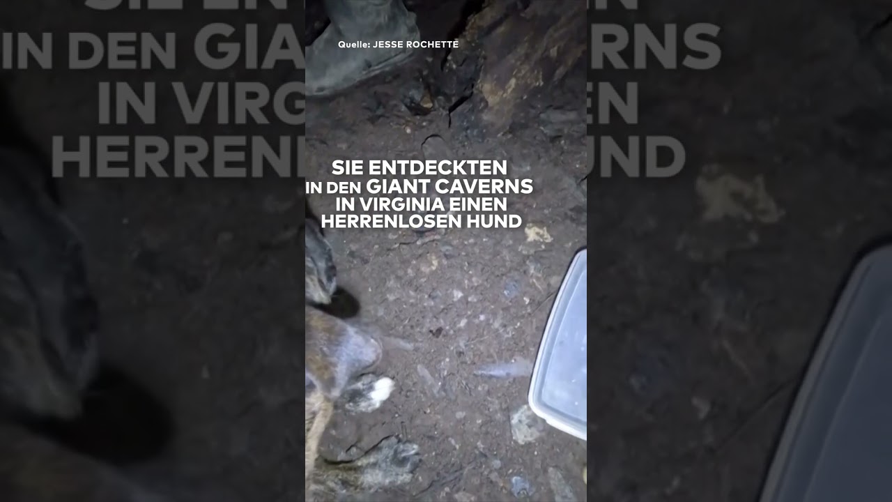 USA: Überraschung in Höhle! Kletterer machen ungewöhnliche Entdeckung! I WELT #shorts