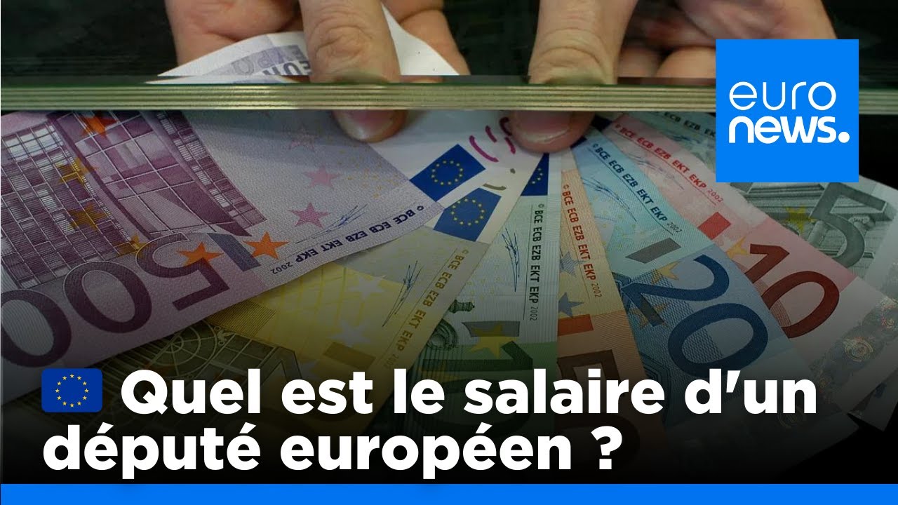 Combien les députés européens sont-ils payés ? | euronews 🇫🇷