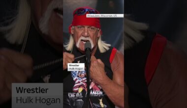 Hulk Hogan: 'They took a shot at my hero!'