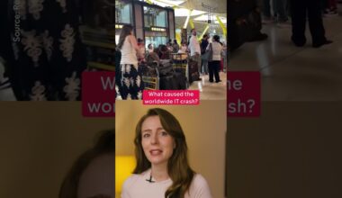 What caused the worldwide IT crash?