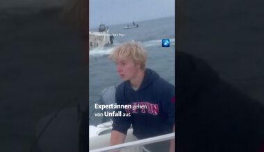 Ein #Wal hat in den #USA ein #Boot zum Kentern gebracht. #nachrichten #tagesschau