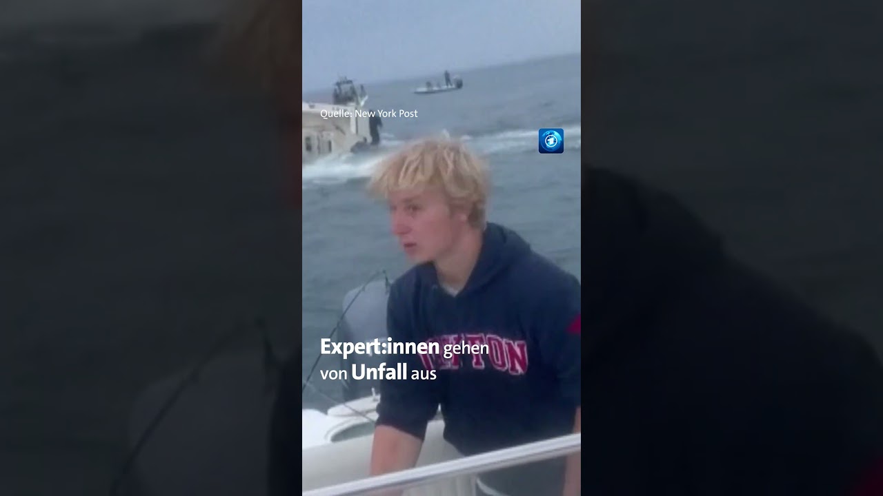 Ein #Wal hat in den #USA ein #Boot zum Kentern gebracht. #nachrichten #tagesschau