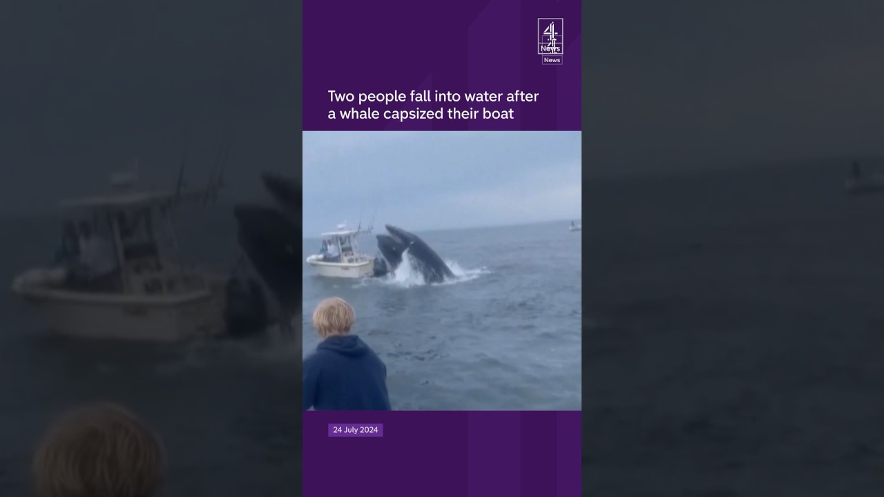 Whale throws two people into water