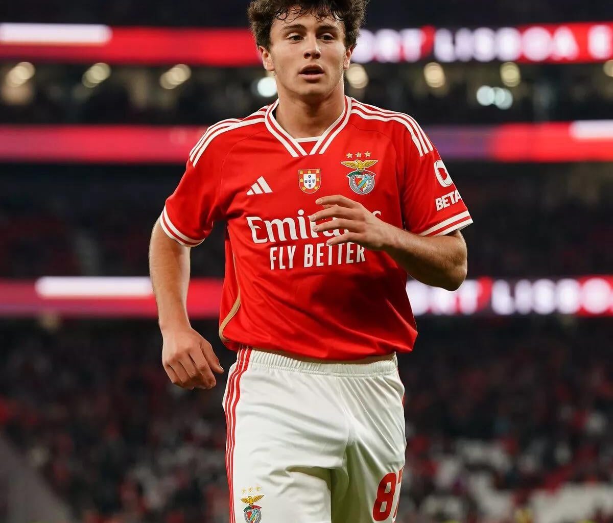 Can someone explain, why are we so hyped for this guy ?