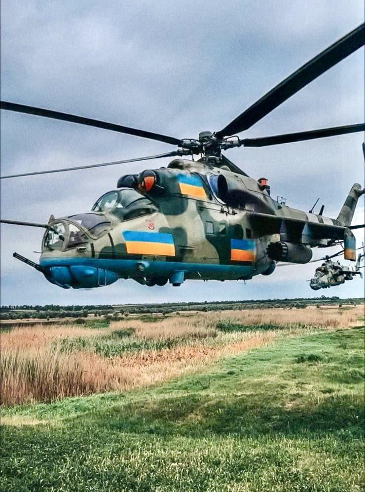 Low level pass over the wheat fields - by a flight of Mil Mi-24 'Hind' helicopter gunships, from the Ukrainian Army Aviation, July 2024.