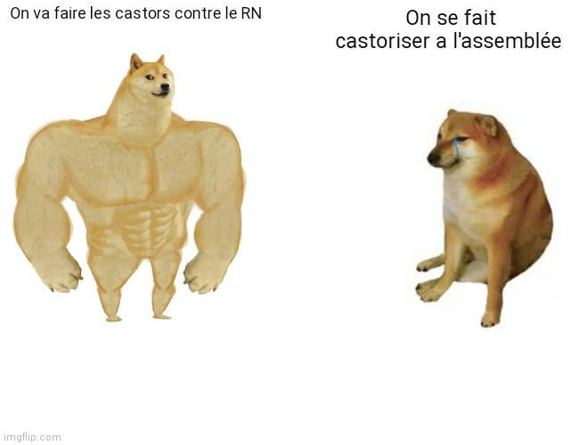 Castorama