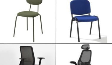 La prochaine fois ils vont essayer de faire élire un chien ?