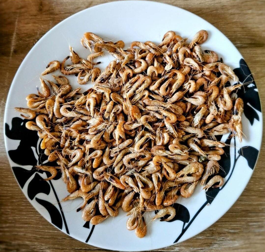 Crevettes grises/Grey shrimps