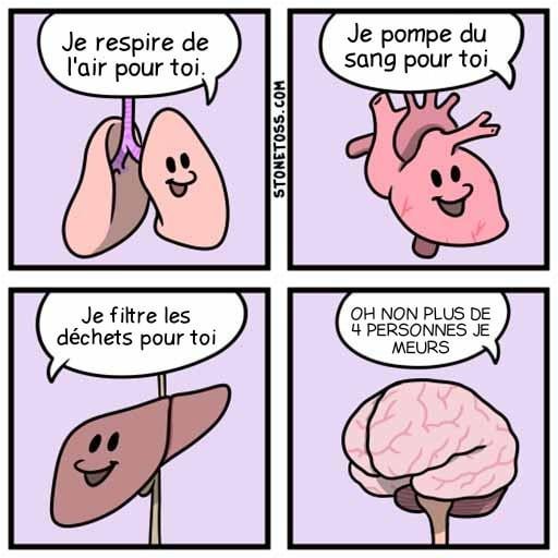 "haut fonctionnement" qu'ils disaient