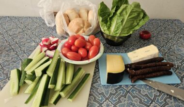 Pictured: too lazy to cook (crudités and some cheese)