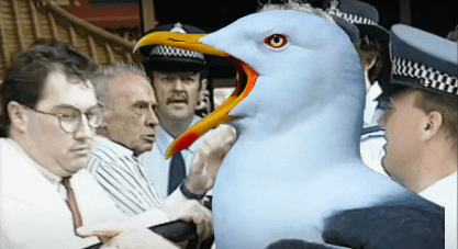 "Why did you do this to me? What is the charge? Watching a final? A succulent All Ireland Final?"