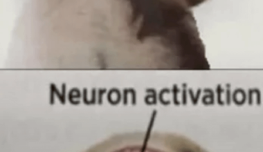 Moi qui voit enfin mon département aux infos et qui réalise pourquoi