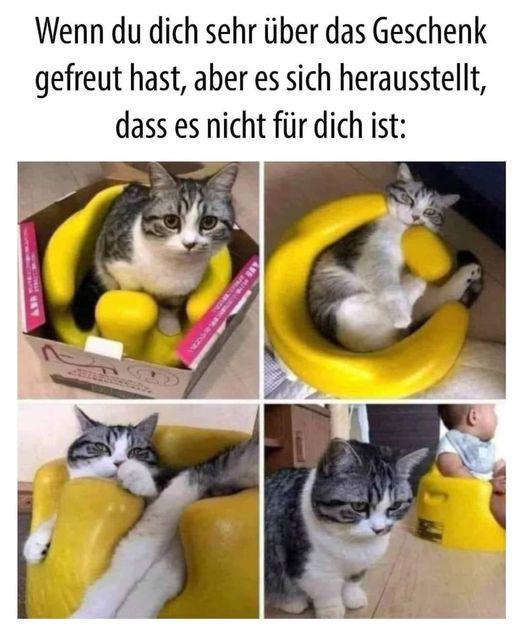 Das tut weh
