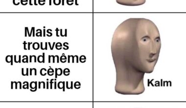 Pour une fois on parle d'autre chose que de politique