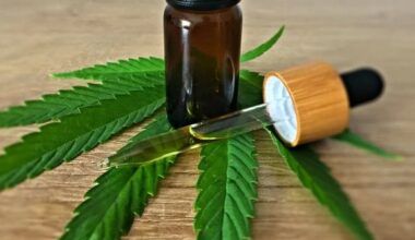 Govern no vol legalitzar el cànnabis medicinal perquè creu que dispararia el consum