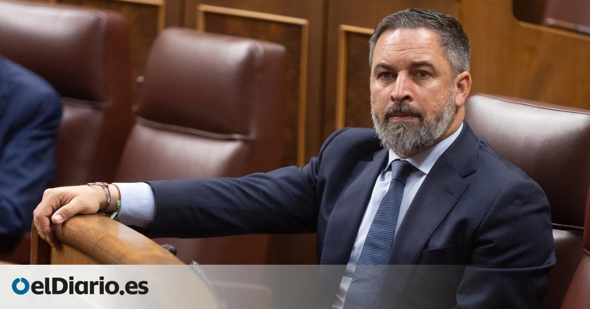 El Tribunal de Cuentas multa a Vox con más de 200.000 euros por financiación irregular