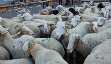 Hi han més articles avui -07/18/2024. Aqui estan tots els titulars que he trobat...