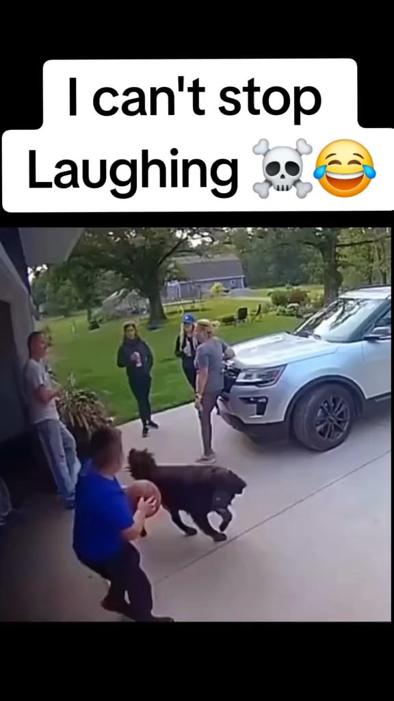 Versuche Nicht Zu Lachen