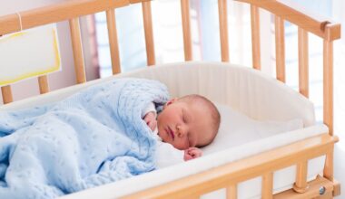 La CASS denega la baixa per maternitat a una parella que va tenir un nadó per ventre de lloguer a Canadà