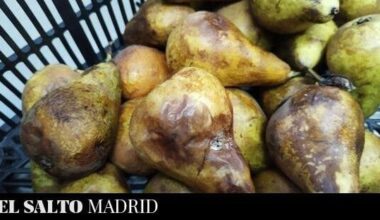 Alimentos podridos, agua marrón e impagos de nóminas: una escuela infantil pública de Madrid, al límite