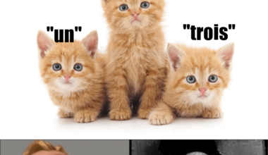 Quand on apprend le français, on entend une histoire...