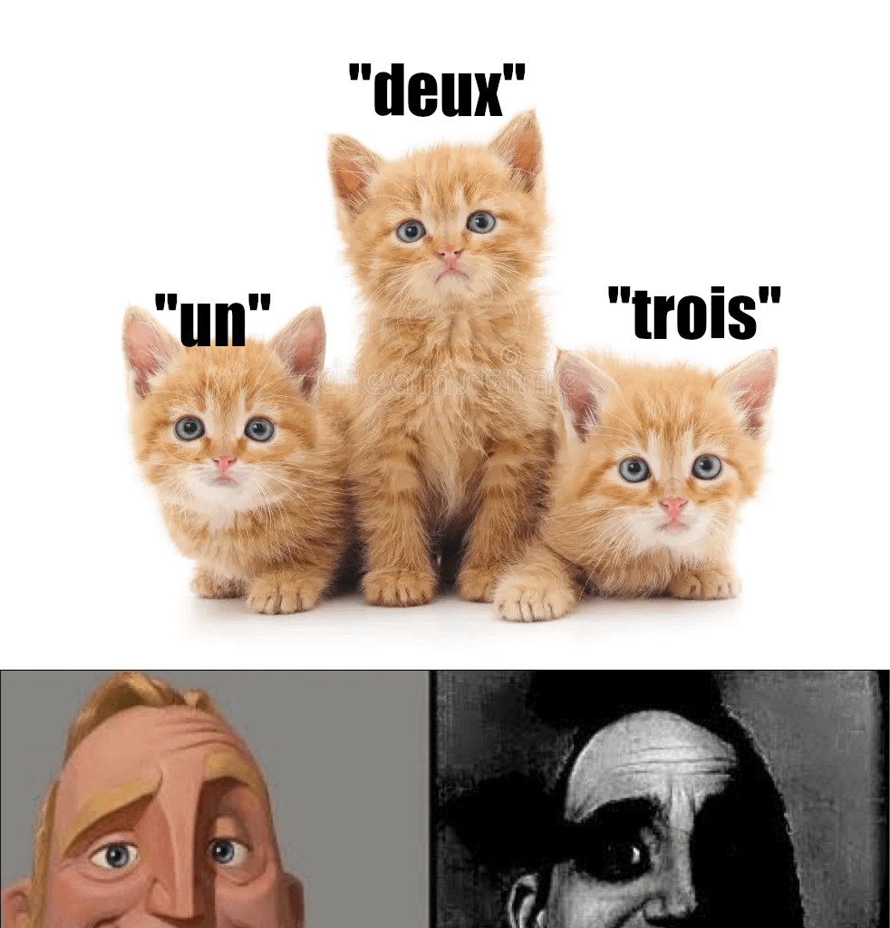 Quand on apprend le français, on entend une histoire...