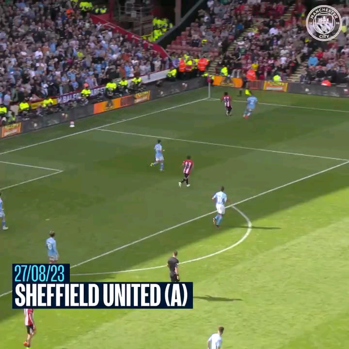Some of Rodri's most vital goals