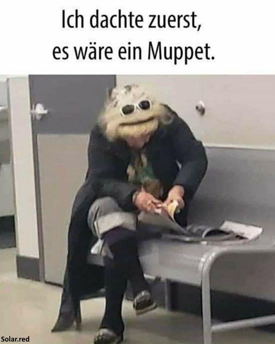 Muppet ...