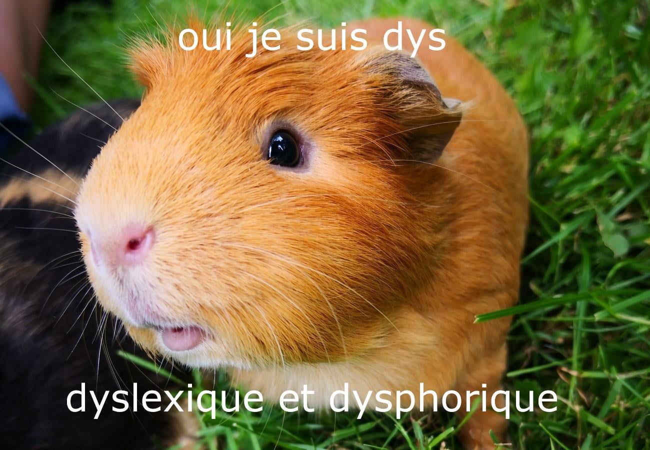 handi moimoi X fiérté moimoi: ce cochon mord celleux qui font des remarques désobligeante.