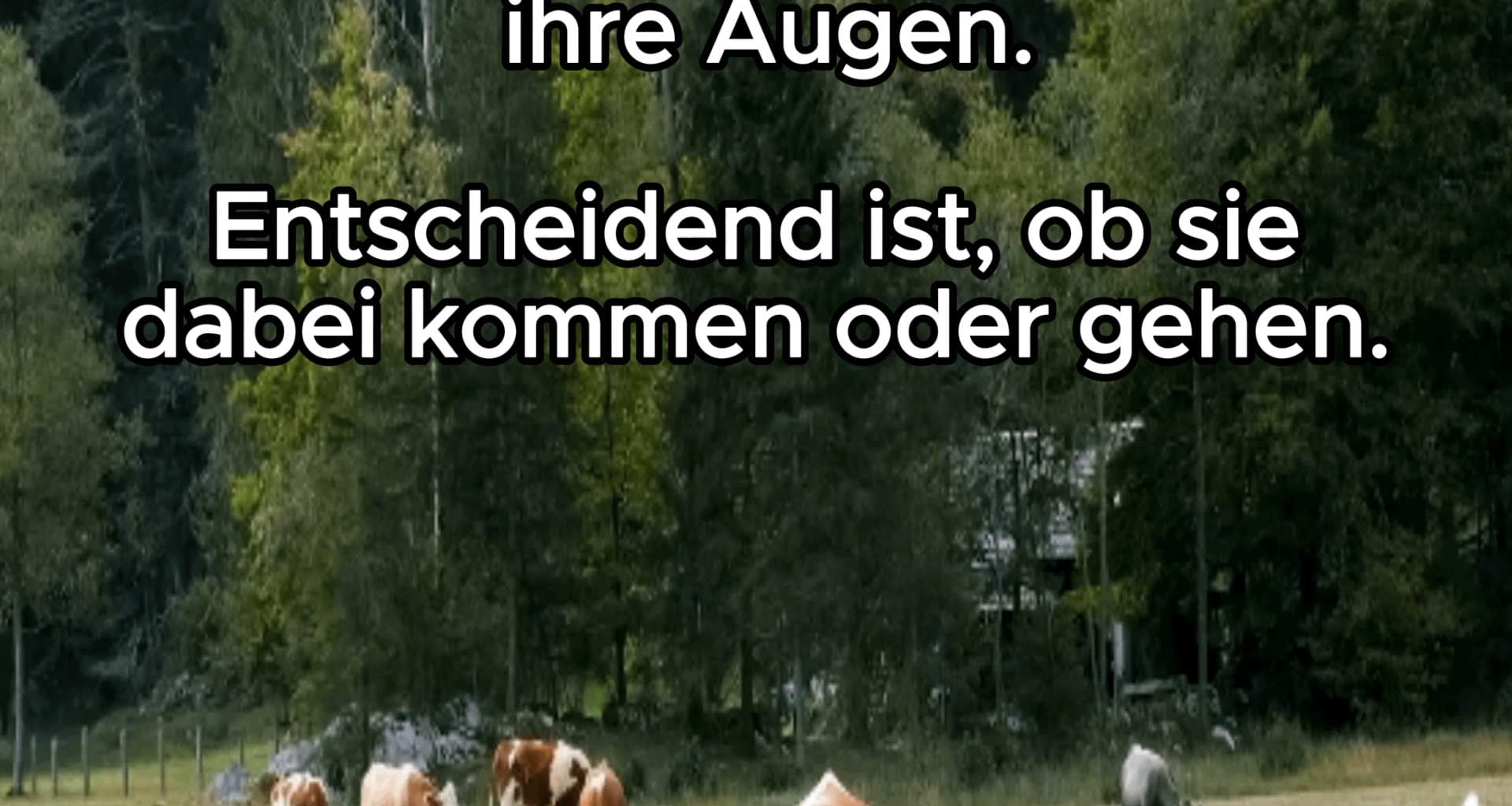Frauenversteher