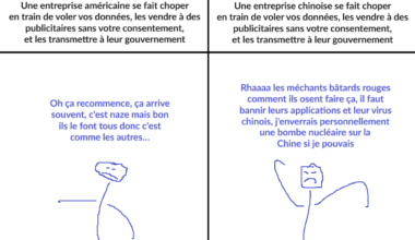 Virus chinois