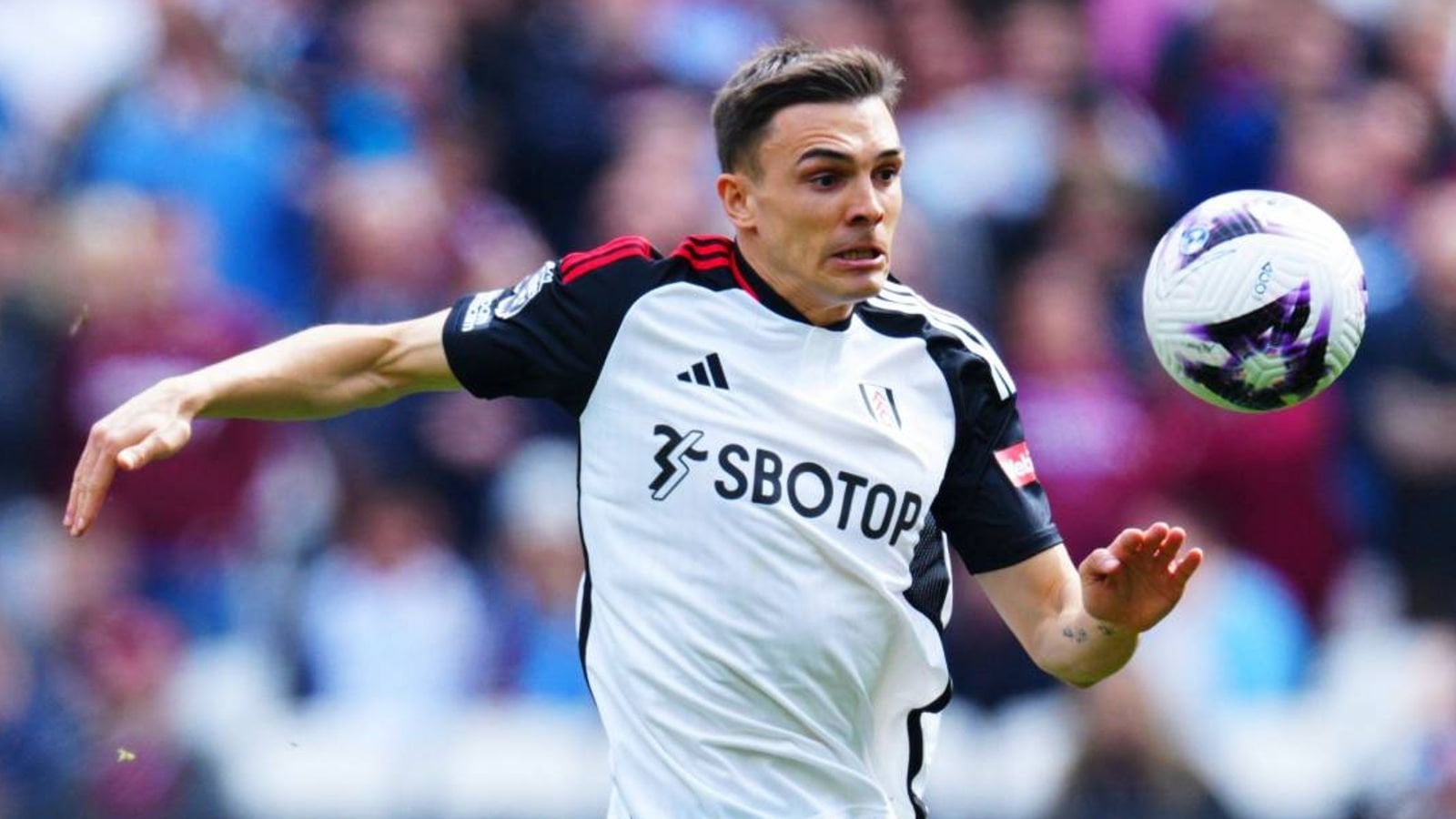 Sky Info: Joao Palhinha steht unmittelbar vor einem Wechsel zum FC Bayern
